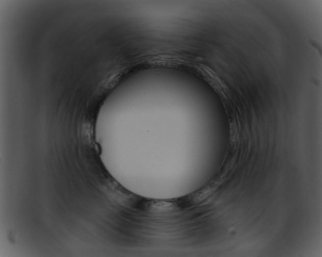 X0000096660669200802050958