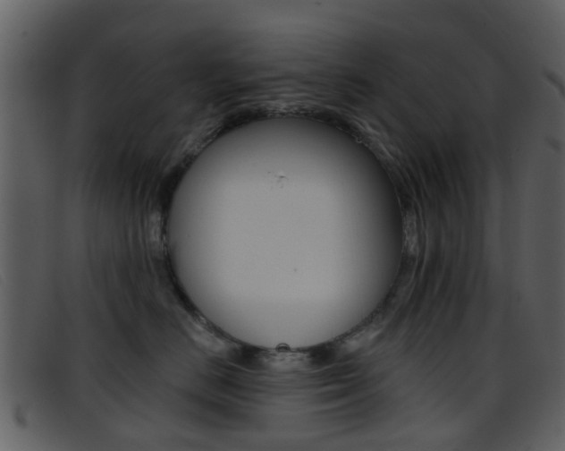 X0000096660670200802050958