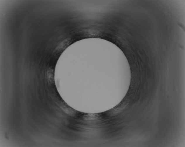 X0000096660672200802050958