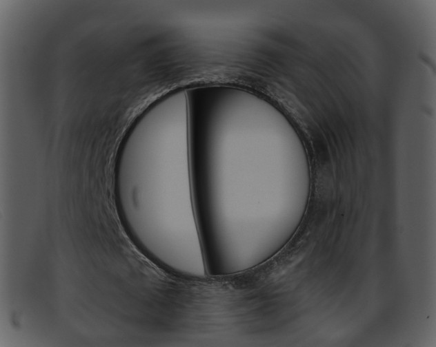 X0000096660673200802050957