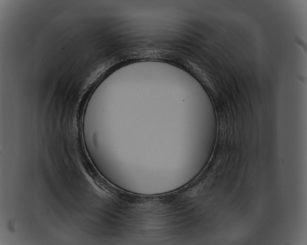 X0000096660674200802050957