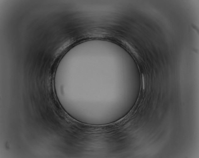 X0000096660675200802050957