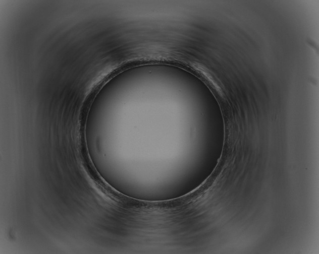 X0000096660677200802050957