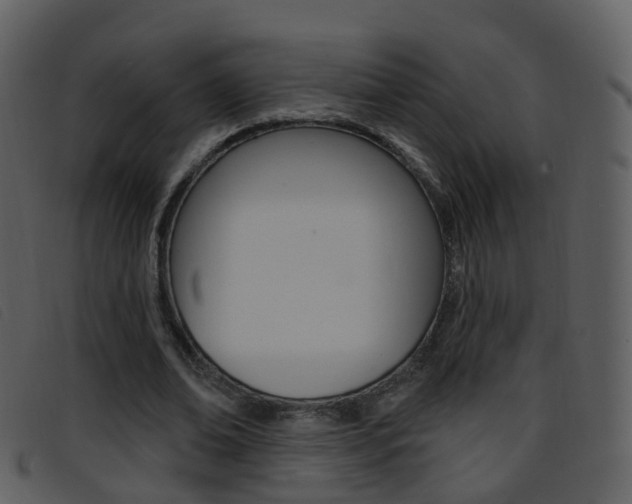 X0000096660678200802050957