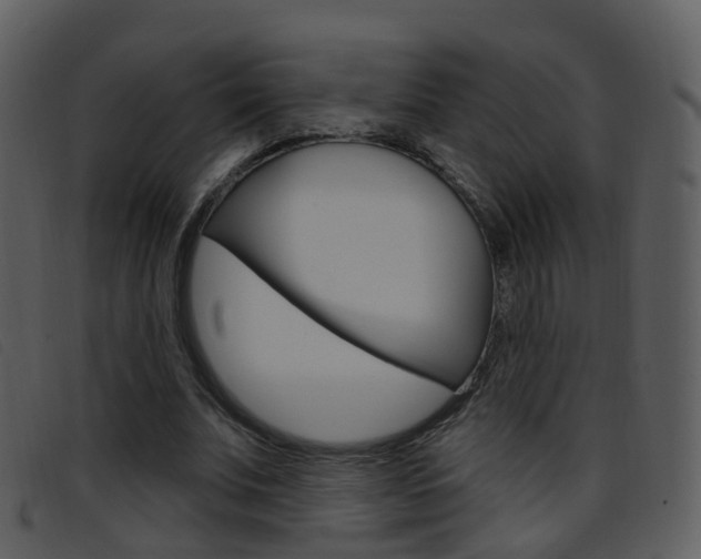 X0000096660679200802050957