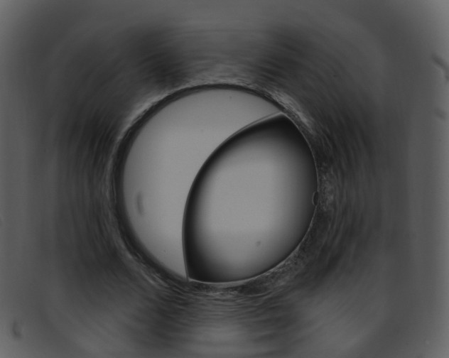 X0000096660680200802050957