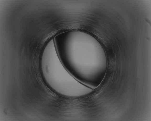 X0000096660681200802050957