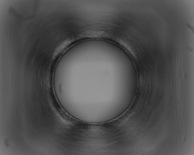 X0000096660682200802050957