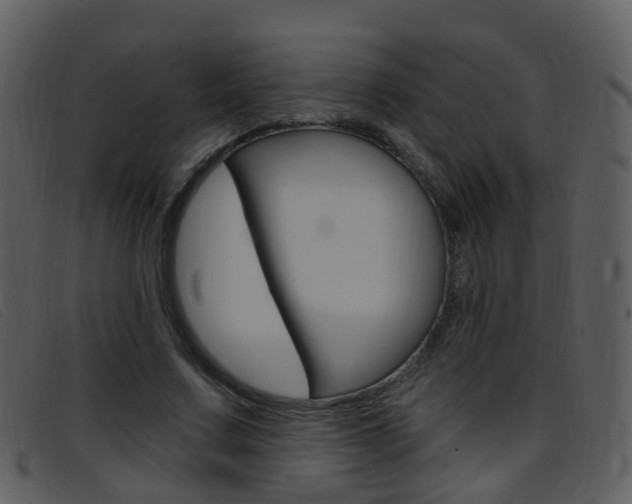 X0000096660683200802050957