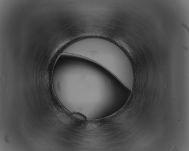 X0000096660684200802050957