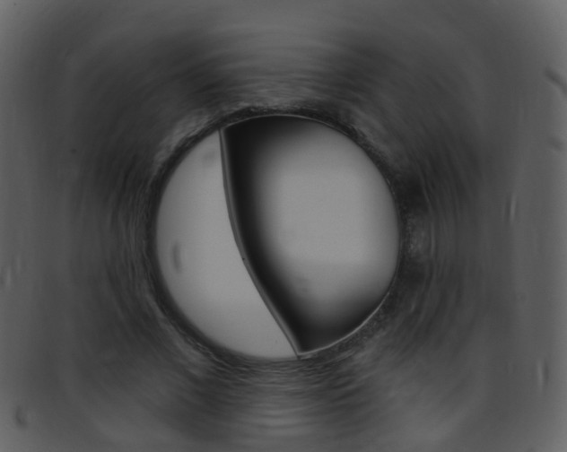X0000096660685200802050957