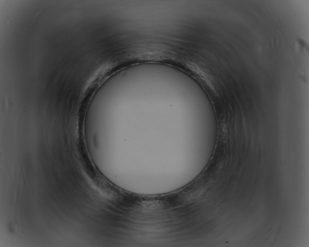 X0000096660686200802050957