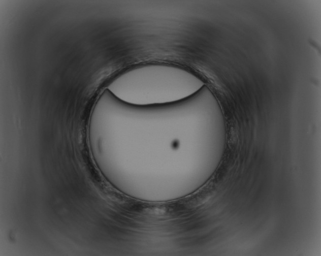 X0000096660687200802050957