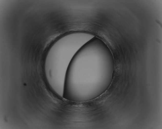 X0000096660688200802050957