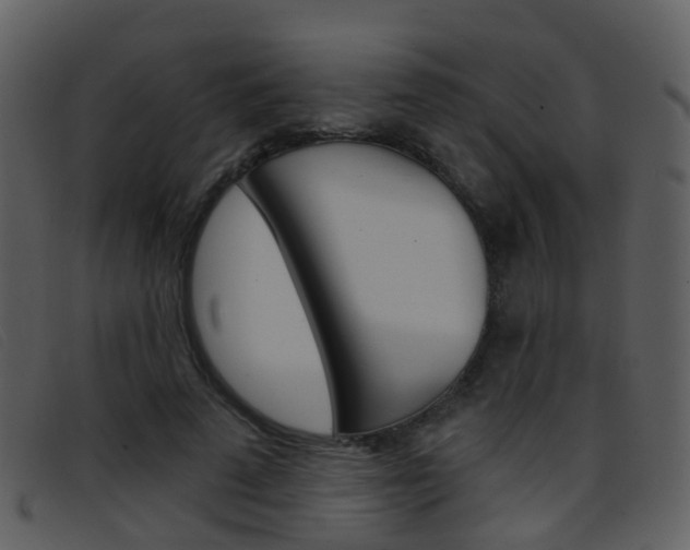 X0000096660689200802050957