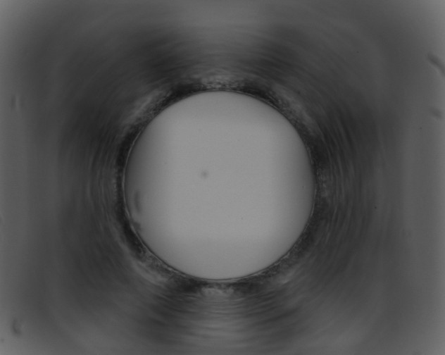 X0000096660690200802050957