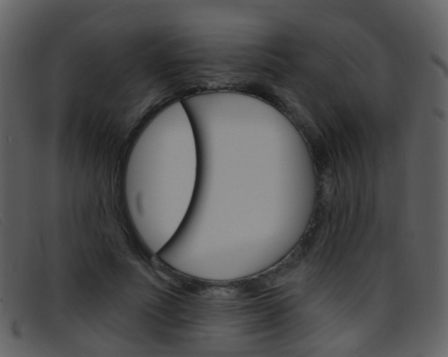X0000096660691200802050957