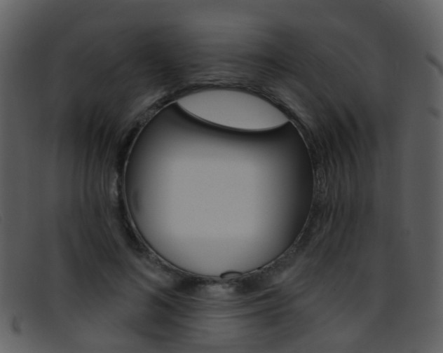 X0000096660692200802050957