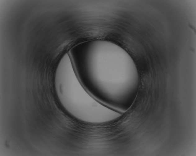 X0000096660693200802050957