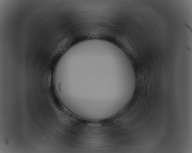 X0000096660694200802050957