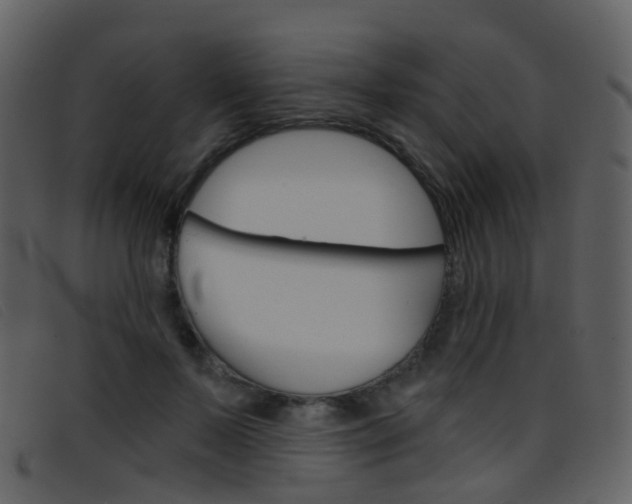 X0000096660695200802050957