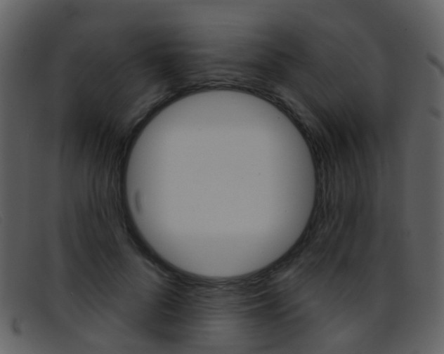 X0000096660696200802050957