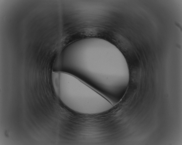 X0000096660697200802050957