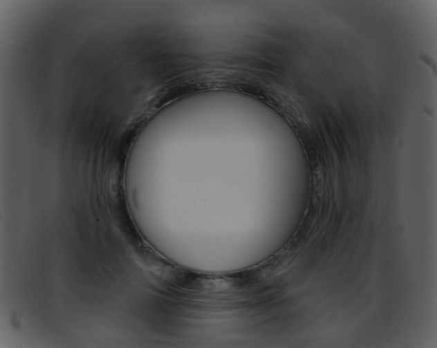 X0000096660698200802050957