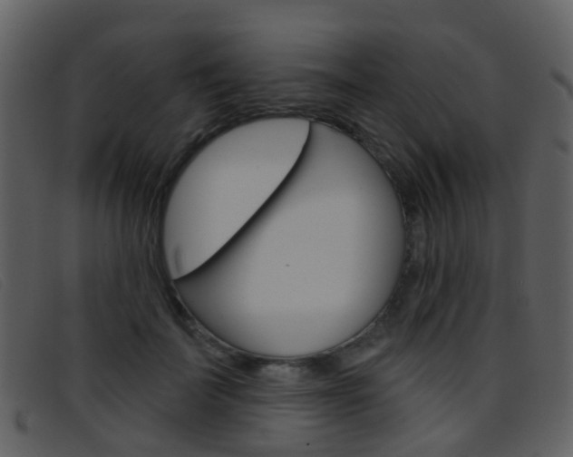 X0000096660699200802050957