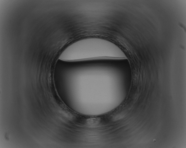 X0000096660700200802050957