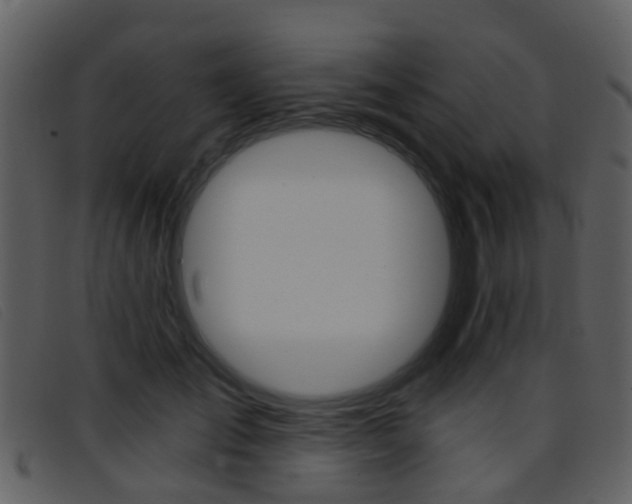 X0000096660701200802050957