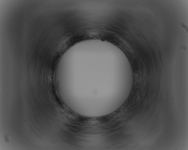 X0000096660702200802050957