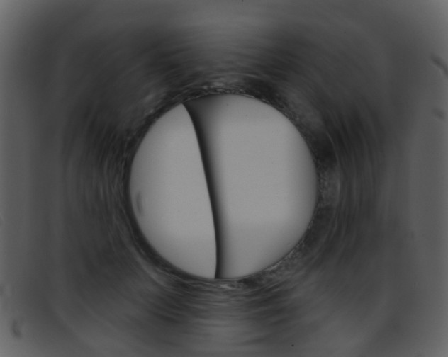 X0000096660703200802050957