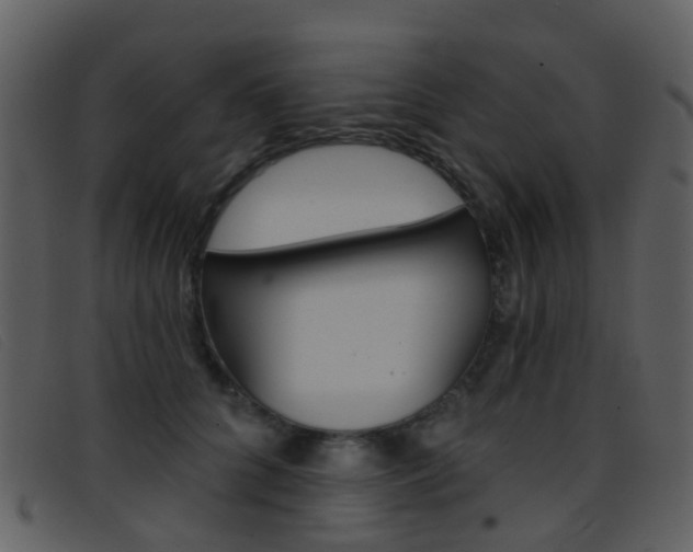 X0000096660704200802050957