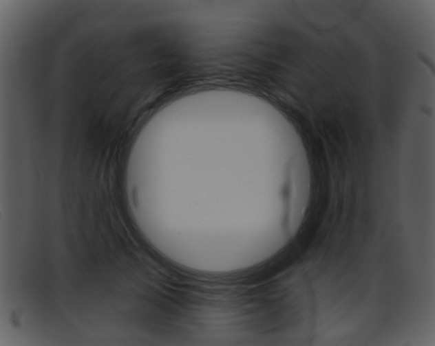 X0000096660705200802050957