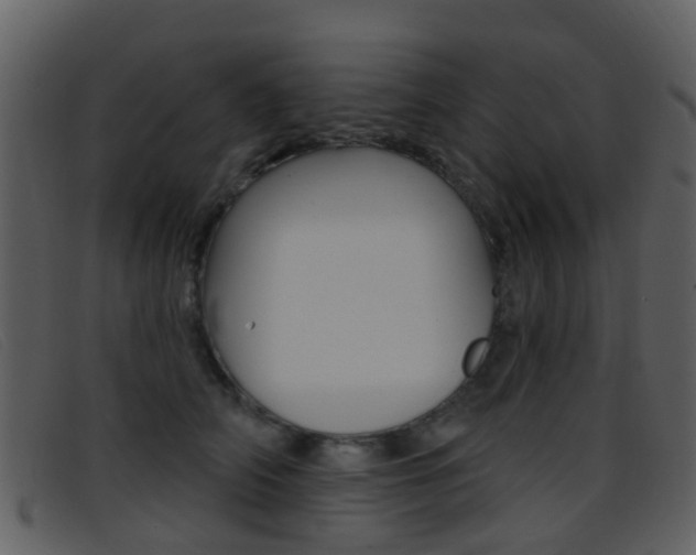 X0000096660706200802050957