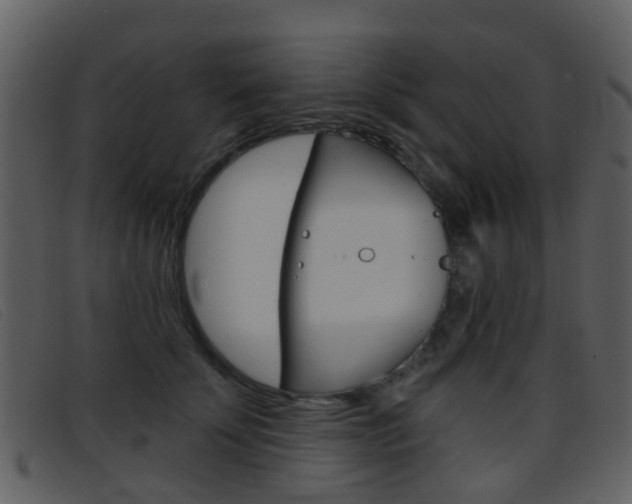 X0000096660707200802050957
