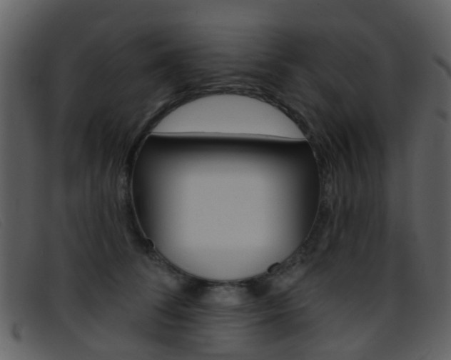 X0000096660708200802050957