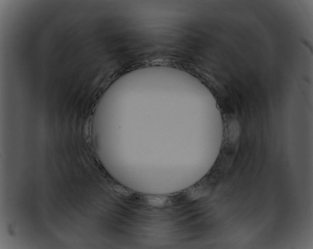 X0000096660709200802050957