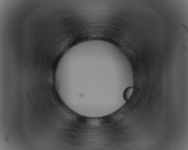 X0000096660710200802050957