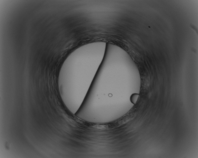 X0000096660711200802050957