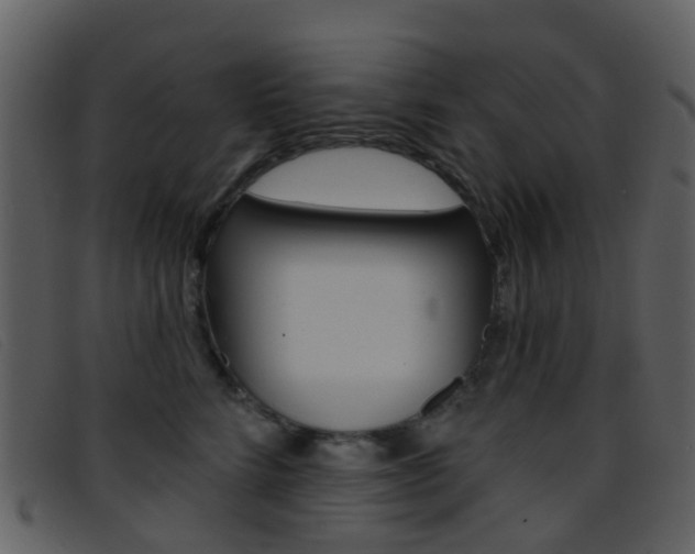 X0000096660712200802050957