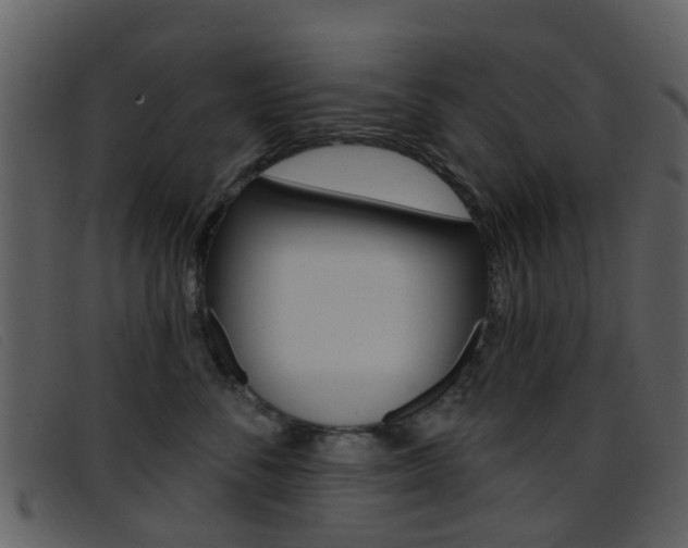 X0000096660716200802050957