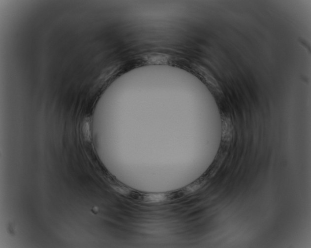 X0000096660717200802050956