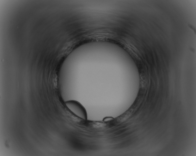X0000096660718200802050956