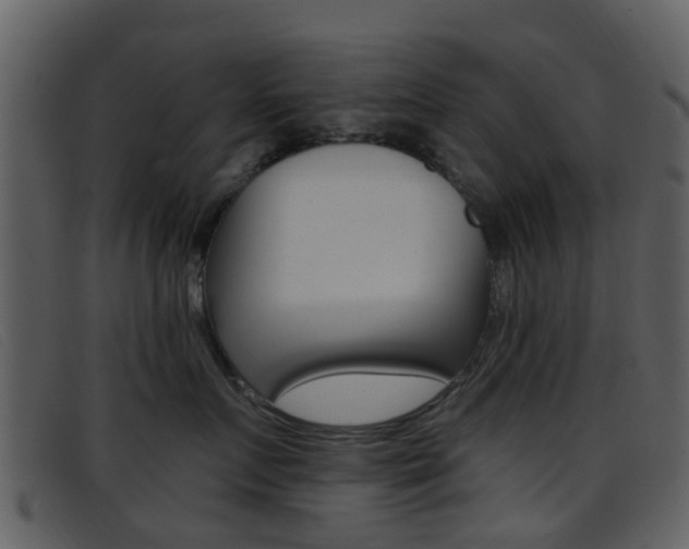 X0000096660719200802050956
