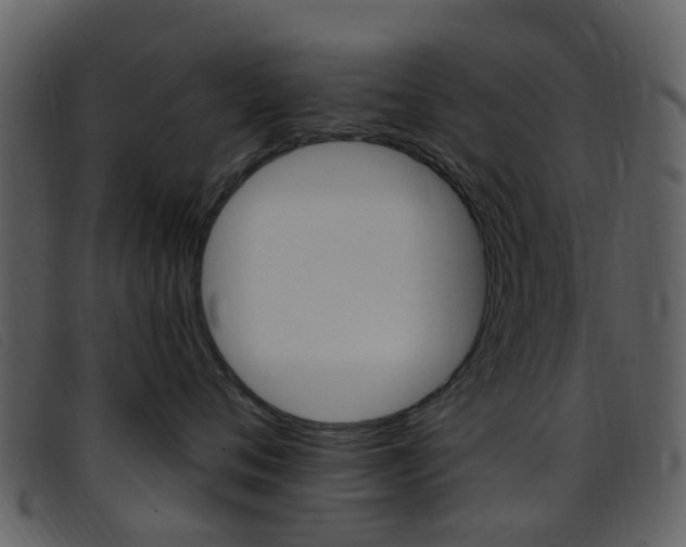 X0000096660720200802050956