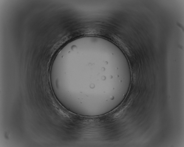 X0000096660721200802050956