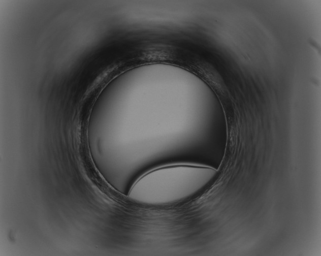 X0000096660722200802050956