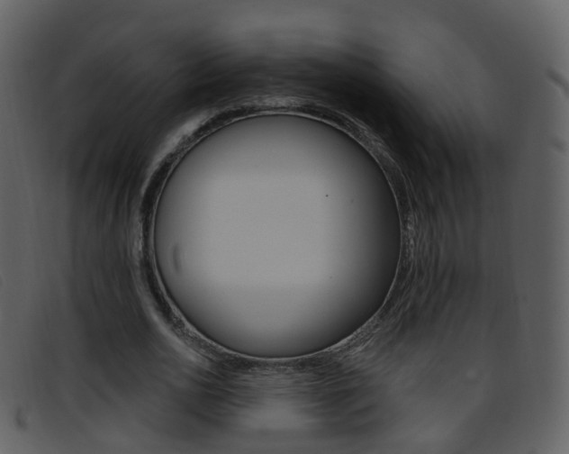 X0000096660726200802050956